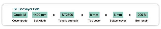 ST Conveyor Belt